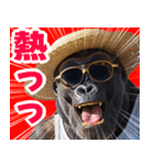 サングラスしたゴリラの夏【関西弁】（個別スタンプ：2）