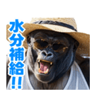 サングラスしたゴリラの夏【関西弁】（個別スタンプ：7）