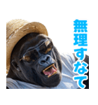 サングラスしたゴリラの夏【関西弁】（個別スタンプ：21）