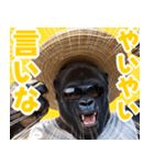 サングラスしたゴリラの夏【関西弁】（個別スタンプ：24）