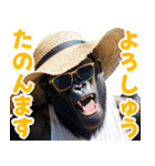サングラスしたゴリラの夏【関西弁】（個別スタンプ：31）