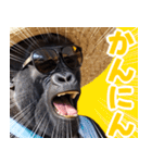 サングラスしたゴリラの夏【関西弁】（個別スタンプ：34）