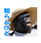 サングラスしたゴリラの夏【関西弁】（個別スタンプ：35）