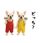 お犬様の吹き出しスタンプ（個別スタンプ：1）