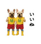 お犬様の吹き出しスタンプ（個別スタンプ：2）