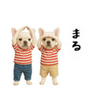 お犬様の吹き出しスタンプ（個別スタンプ：5）