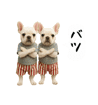 お犬様の吹き出しスタンプ（個別スタンプ：6）