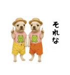 お犬様の吹き出しスタンプ（個別スタンプ：11）