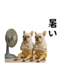 お犬様の吹き出しスタンプ（個別スタンプ：14）