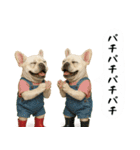 お犬様の吹き出しスタンプ（個別スタンプ：16）
