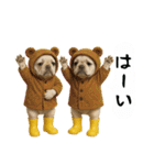 お犬様の吹き出しスタンプ（個別スタンプ：20）