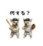 お犬様の吹き出しスタンプ（個別スタンプ：24）