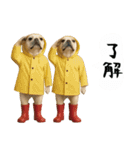 お犬様の吹き出しスタンプ（個別スタンプ：26）