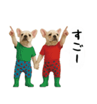お犬様の吹き出しスタンプ（個別スタンプ：29）