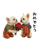 お犬様の吹き出しスタンプ（個別スタンプ：30）