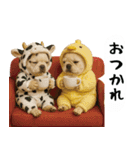 お犬様の吹き出しスタンプ（個別スタンプ：32）