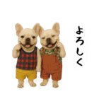 お犬様の吹き出しスタンプ（個別スタンプ：36）