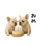 お犬様の吹き出しスタンプ（個別スタンプ：37）