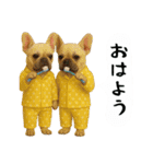 お犬様の吹き出しスタンプ（個別スタンプ：38）