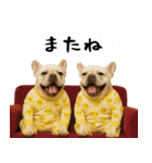 お犬様の吹き出しスタンプ（個別スタンプ：40）