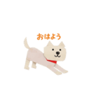 紙工作柴犬（白）（個別スタンプ：3）