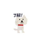 紙工作柴犬（白）（個別スタンプ：10）