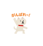 紙工作柴犬（白）（個別スタンプ：13）