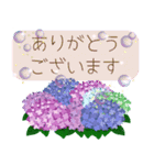 初夏 思いやりの言葉飛び出すスタンプ（個別スタンプ：4）