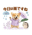 大人可愛い癒しコーギーの梅雨の敬語（個別スタンプ：5）