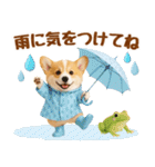 大人可愛い癒しコーギーの梅雨の敬語（個別スタンプ：6）