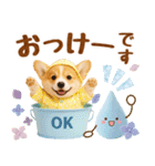 大人可愛い癒しコーギーの梅雨の敬語（個別スタンプ：9）