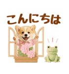 大人可愛い癒しコーギーの梅雨の敬語（個別スタンプ：11）
