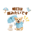 大人可愛い癒しコーギーの梅雨の敬語（個別スタンプ：13）