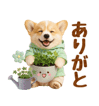 大人可愛い癒しコーギーの梅雨の敬語（個別スタンプ：17）