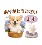 大人可愛い癒しコーギーの梅雨の敬語（個別スタンプ：18）