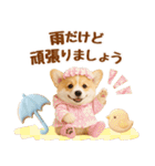 大人可愛い癒しコーギーの梅雨の敬語（個別スタンプ：22）