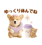 大人可愛い癒しコーギーの梅雨の敬語（個別スタンプ：25）