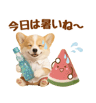 大人可愛い癒しコーギーの梅雨の敬語（個別スタンプ：34）