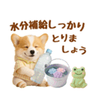 大人可愛い癒しコーギーの梅雨の敬語（個別スタンプ：35）