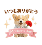 大人可愛い癒しコーギーの梅雨の敬語（個別スタンプ：39）