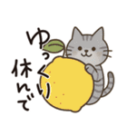 猫ちゃんとスイーツと夏。（個別スタンプ：24）