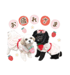 ルル＆レアの日常（個別スタンプ：3）