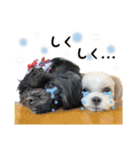 ルル＆レアの日常（個別スタンプ：26）