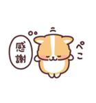 まるまるコーギー 心の声（個別スタンプ：13）