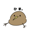 キーウィ【スタンプ】（個別スタンプ：1）