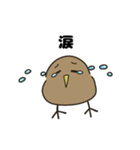 キーウィ【スタンプ】（個別スタンプ：11）