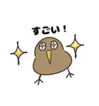 キーウィ【スタンプ】（個別スタンプ：17）