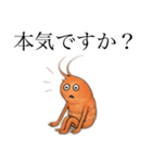 ぷりぷりえびさん（個別スタンプ：11）