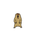 まーもつ（個別スタンプ：1）