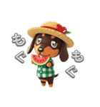 可愛いダックスフンド達（個別スタンプ：8）